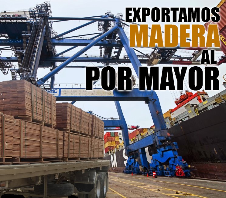 Exportamos-madera-en-cantidades-industriales1