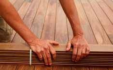 Ipe, una madera muy preciada para el sector de la construcción